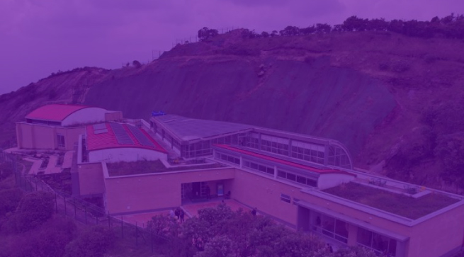 Directorio de Manzanas del Cuidado