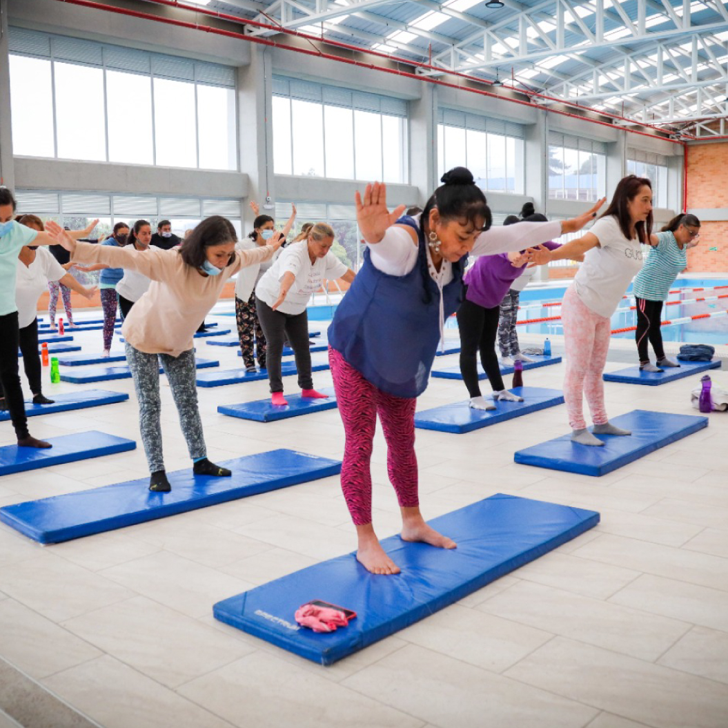 Qué es y quiénes lo integran